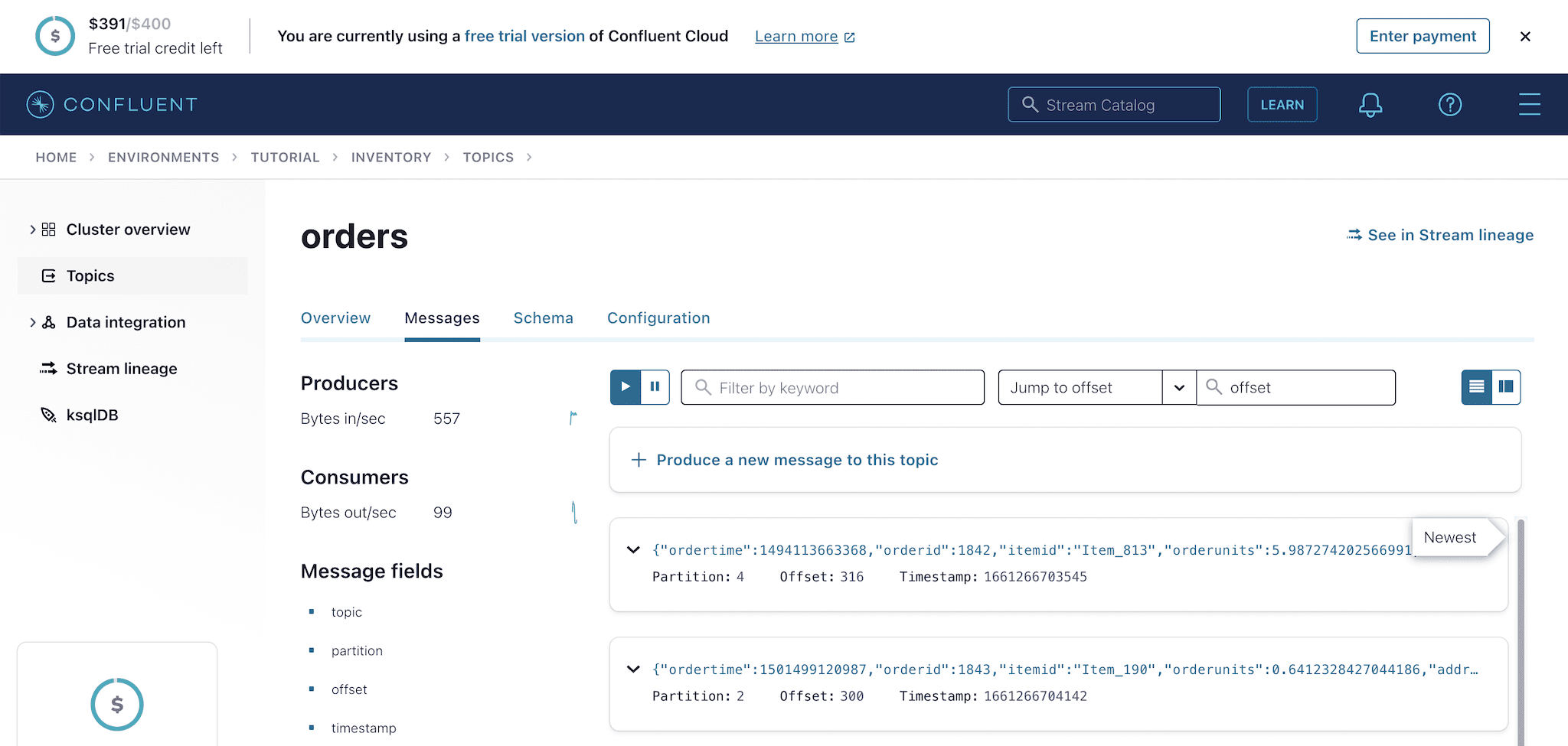 Confluent Cloud Orders Topic Messages